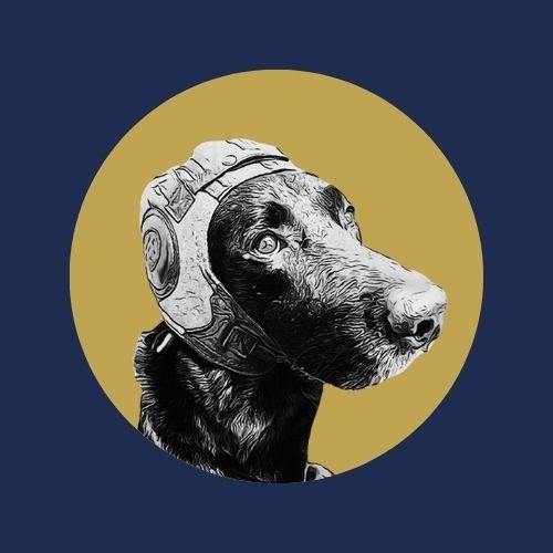 Sputnik Aviation logo – career development partner of All Asia Aviation Academy